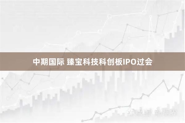 中期国际 臻宝科技科创板IPO过会