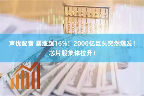 声优配音 暴涨超16%！2000亿巨头突然爆发！芯片股集体拉升！